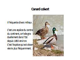Canard colvert