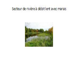 Secteur de rivière à débit lent avec marais
