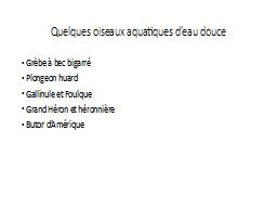 Quelques oiseaux aquatiques d’eau douce