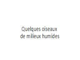 Quelques oiseaux 
de milieux humides