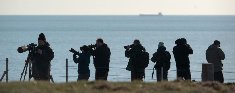 Observateurs d'oiseaux le long du fleuve Observateurs d'oiseaux le long du fleuve