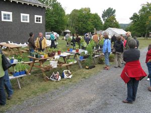 Vente de vivaces en 2010 Vente de vivaces en 2010