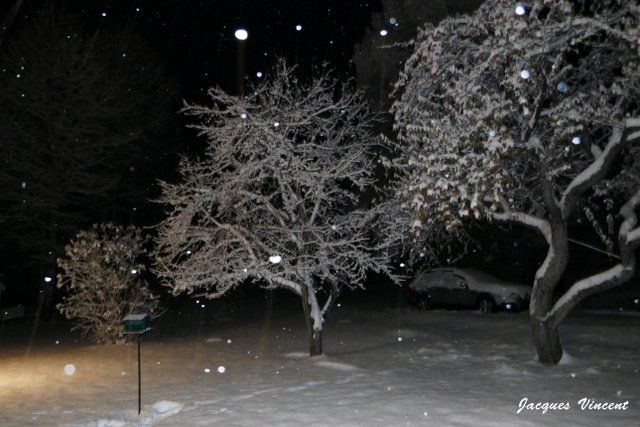 Jacques Vincent hiver 1