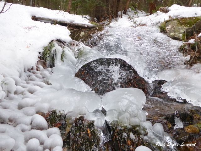 RSL-hiver-1