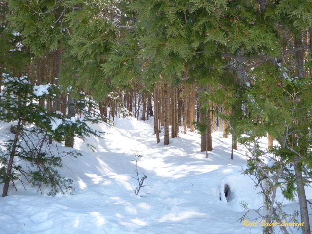 RSL-hiver-2
