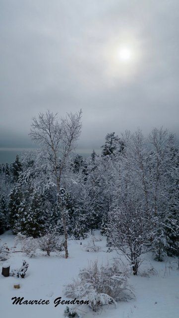 photo #9